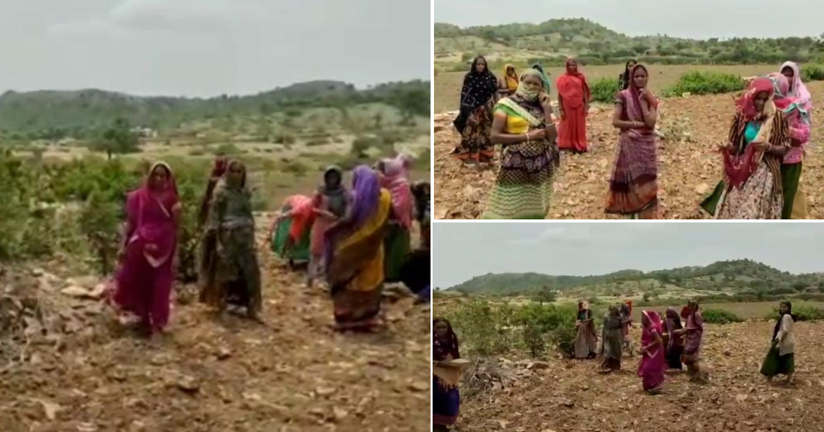 MNREGA misused, Labourers working in fields of sarpanch instead of designated areas